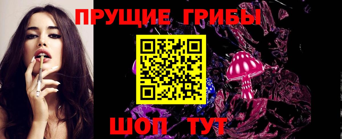 Санкт-Петербург  Галлюциногенные грибы прущие грибы  Вход с VPN 